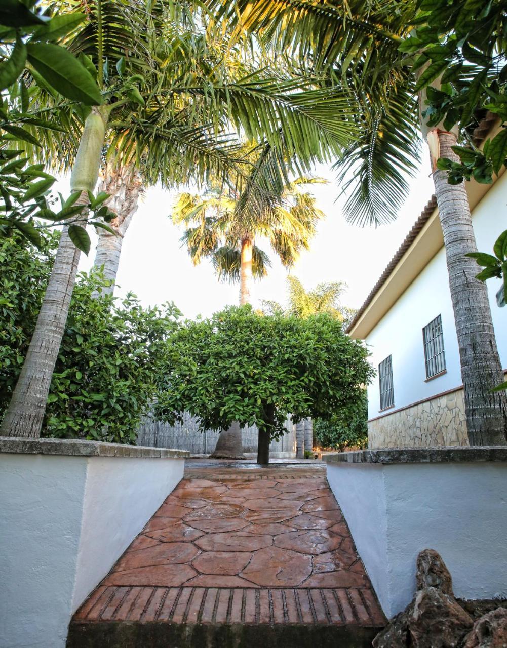 Casa Rural Tipica Andaluza, Wifi,Piscina, Barbacoa, Aire Acondicionado, 5Min Centros Alhaurin el Grande Exterior photo